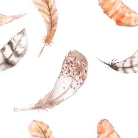 A seamless pattern with the colored feathers painted in a watercolor on a white backgroundの写真素材
