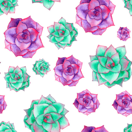 A seamless pattern with the watercolor various kinds of succulents, hand-drawn on a white backgroundの写真素材