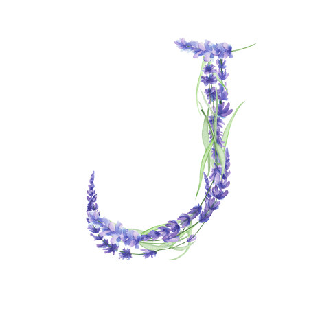 Capital letter J of watercolor lavender flowers, isolated hand drawn on a white background, wedding design, english alphabet for the festive and wedding decor and cardsの写真素材