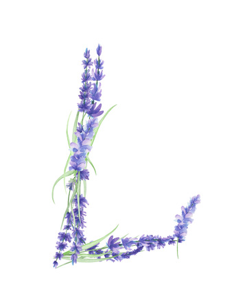 Capital letter L of watercolor lavender flowers, isolated hand drawn on a white background, wedding design, english alphabet for the festive and wedding decor and cardsの写真素材