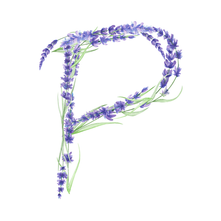 Capital letter P of watercolor lavender flowers, isolated hand drawn on a white background, wedding design, english alphabet for the festive and wedding decor and cardsの写真素材