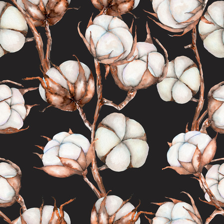 Seamless pattern of watercolor cotton flowers branches, hand drawn isolated on a dark backgroundの写真素材
