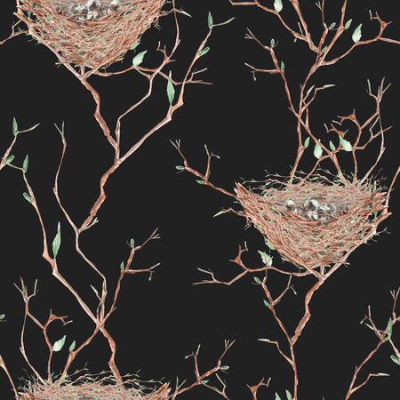 Seamless pattern of the watercolor bird nests on the spring tree branches, hand drawn on a dark backgroundの写真素材