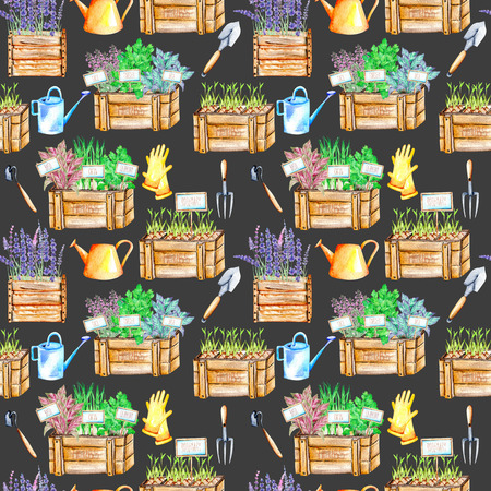Seamless pattern with isolated watercolor spices (spicy herbs) in a wood boxes and garden tools, painted on a dark backgroundの写真素材