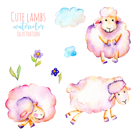 Set of watercolor cute pink sheeps, simple flowers and clouds illustrations, hand drawn isolated on a white backgroundの写真素材