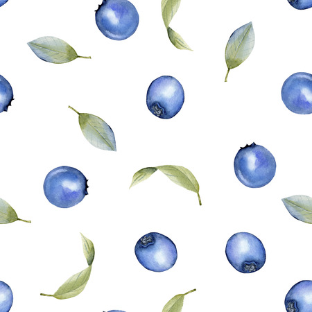 Watercolor blueberries seamless pattern, hand painted on a white backgroundの写真素材