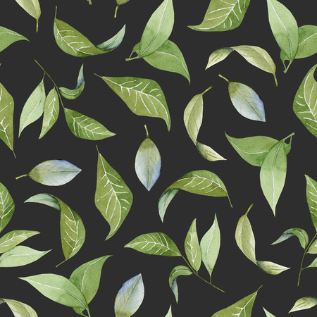Seamless floral pattern with watercolor green leaves, hand drawn isolated on a dark backgroundの写真素材
