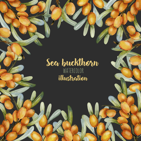 Card template with watercolor sea buckthorn branches, frame border background, hand painted on a dark backgroundの写真素材