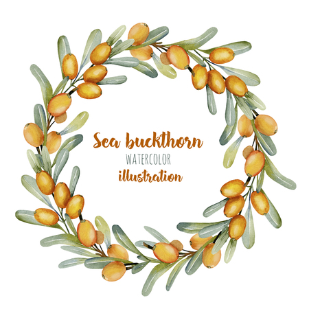 Watercolor sea buckthorn branches wreath, frame border, hand painted on a white backgroundの写真素材