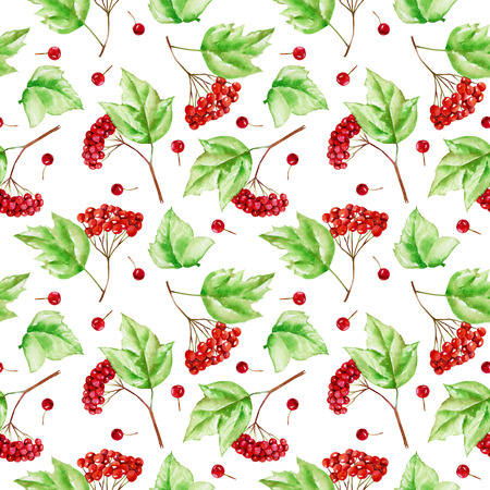 Watercolor viburnum branches seamless pattern, hand painted on a white backgroundの写真素材