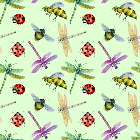 Seamless pattern with watercolor colorful dragonflies, bees and ladybugs hand painted on a green backgroundの写真素材
