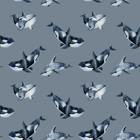 Whale whales hand painted watercolor on a gray backgroundの写真素材