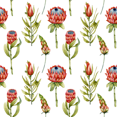 Hand painted watercolor floraの写真素材