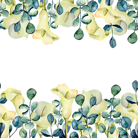 Callas flowers, white flowers and flowersの写真素材