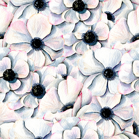 Watercolor white anemones seamless pattern, hand drawn on a white backgroundの写真素材