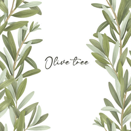 Border of green olive tree branches, hand drawn illustration on white backgroundの写真素材
