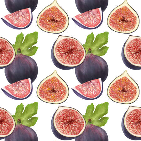 Seamless pattern of figs and fig tree leaves, hand drawn illustration on white backgroundの写真素材