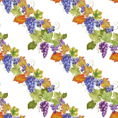 Seamless pattern of purple and blue grape vines, hand drawn illustration on white backgrounの写真素材