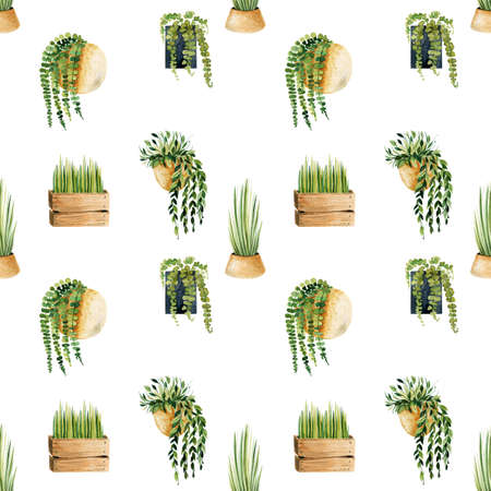 Seamless pattern of watercolor potted plants, home plants in brown and wooden pots, hand drawn illustration on white backgroundの写真素材
