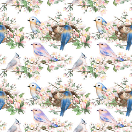 Seamless pattern of bright birds and nests on the spring apple tree branches, hand drawn illustration on white backgroundの写真素材
