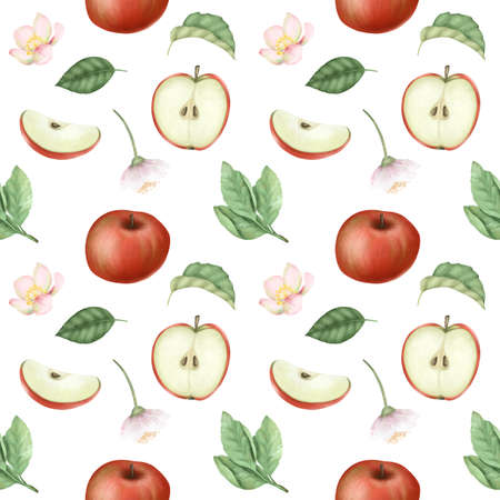 Seamless pattern with red ripe apples, apple tree flowers and leaves on a white backgroundの写真素材