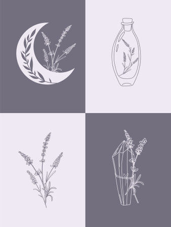 Vector set of botanical illustrations in minimal linear style, lavender flower illustration set, minimalistic modern floral logo, pre-made art posterのイラスト素材