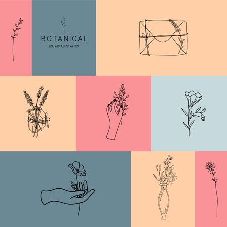 Vector set of botanical illustrations in minimal linear style, hand drawn elegant wildflowers, crystal, branches and vintage glass bottle, minimal floral line art drawingのイラスト素材