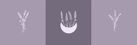 Vector set of botanical illustrations in minimal linear style, lavender flower illustration set, minimalistic modern floral logoのイラスト素材