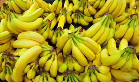 Yellow and green bananas are arranged in a pile in a grocery storeの写真素材