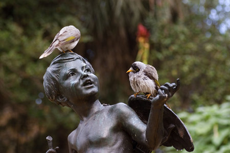Birds on the statueの写真素材