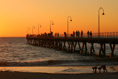 Evening oceanの写真素材