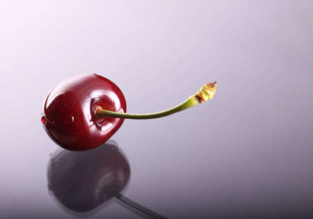 Red fresh cherryの写真素材