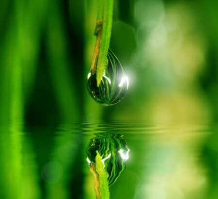 Water drop is reflecting in the waterの写真素材