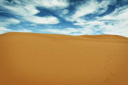 Desert landscape