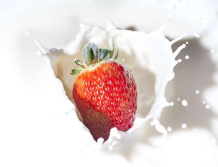 Strawberry in a creamの写真素材
