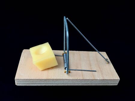 Free cheese in a mousetrap on a black background. A wooden trap with a bait with a metal mechanism for rats and mice.の写真素材