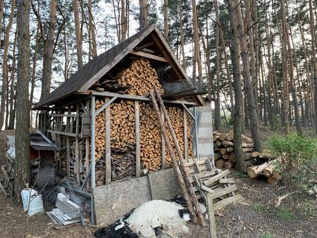 A pile of firewood in the forest. Sawn trees lie on one heap. Round wooden logs, lumber. Material...