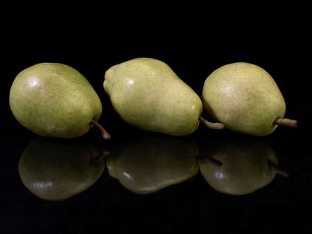 Green ripe pear on a black background. Bera pear variety, large fruits. Autumn fruits of a fruit tree.の写真素材