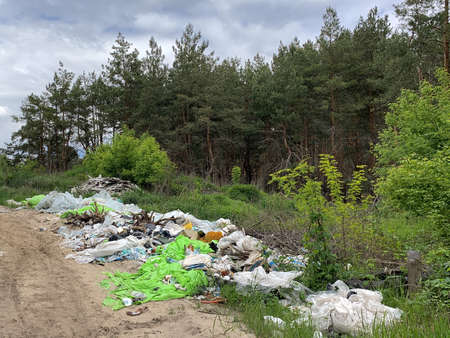 Garbage dump in the forest. Environmental pollution. People illegally throw garbage in the forest....