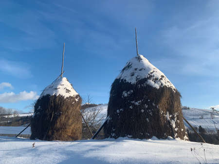 Haystack for the winter. Animal feed in the form of hay. Dry hay for livestock feeding. Concept:...