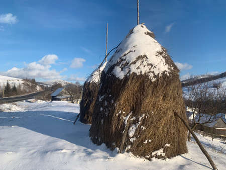 Haystack for the winter. Animal feed in the form of hay. Dry hay for livestock feeding. Concept: rural landscape.の写真素材