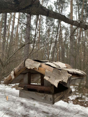 Feeder for winter feeding of birds. Birdhouse on a tree for squirrels and animals. Homemade bird house in the winter forest.の写真素材