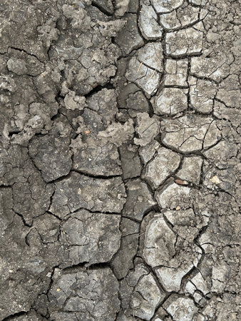 A vivid image of dry, cracked earth highlighting the severe impact of drought. This landscape serves...