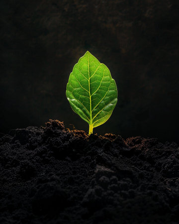 Bright green leaf emerging from dark soil, symbolizing growth and renewal in a natural settingの素材