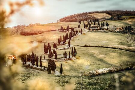 Mood fall photo of Tuscany landscape. Empty space background for you products and decoration. A picturesque road among the trees.の写真素材