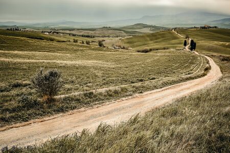 Mood fall photo of Tuscany landscape. Empty space background for you products and decoration. A picturesque road among the trees.の写真素材