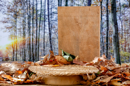 Wooden board with autumn leaves on the background of the autumn forestの写真素材