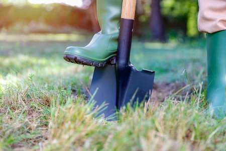 Closeup of gardener digging with shovel in the garden. Gardening concept.の写真素材