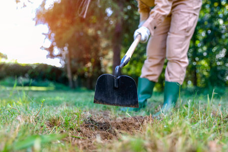 Gardener working with shovel in the garden. Gardening concept.の写真素材
