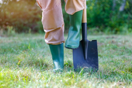 Close up of gardener with shovel working in the garden. Gardening concept.の写真素材